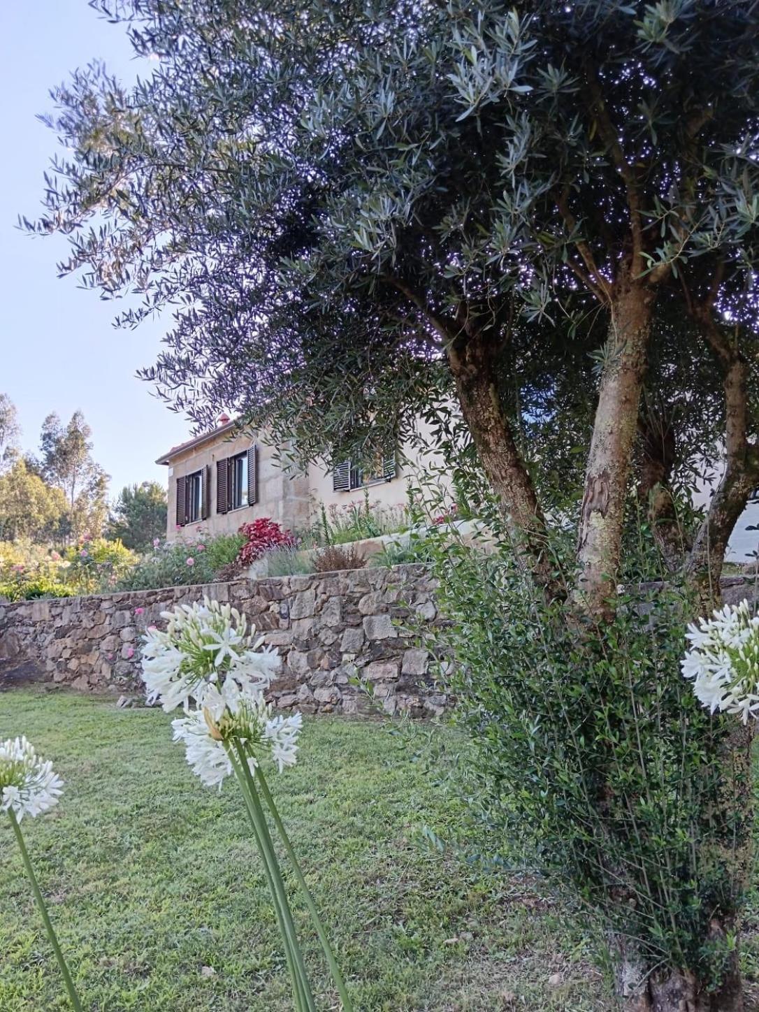 Casa Dos Matos *